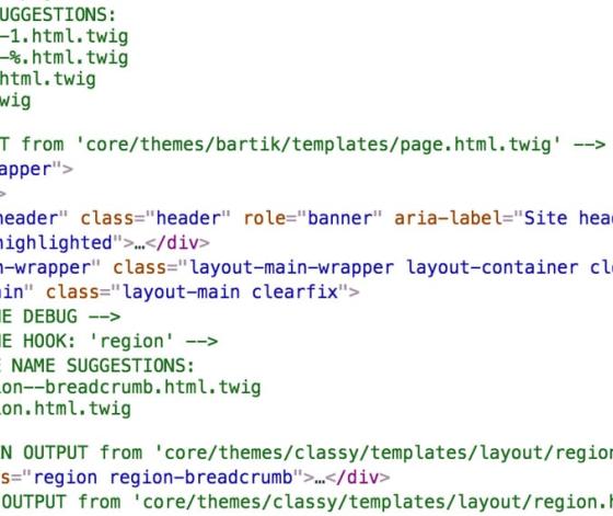 Theme debug